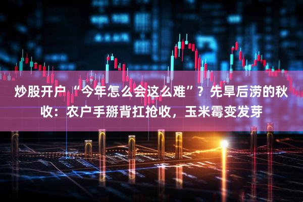 炒股开户 “今年怎么会这么难”？先旱后涝的秋收：农户手掰背扛抢收，玉米霉变发芽