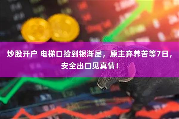 炒股开户 电梯口捡到银渐层，原主弃养苦等7日，安全出口见真情！