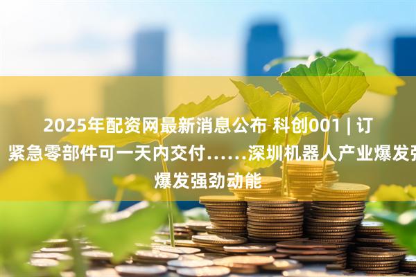 2025年配资网最新消息公布 科创001 | 订单爆满！紧急零部件可一天内交付……深圳机器人产业爆发强劲动能