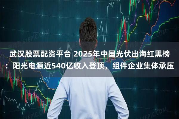 武汉股票配资平台 2025年中国光伏出海红黑榜：阳光电源近540亿收入登顶，组件企业集体承压