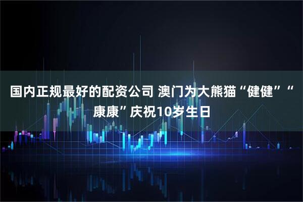 国内正规最好的配资公司 澳门为大熊猫“健健”“康康”庆祝10岁生日